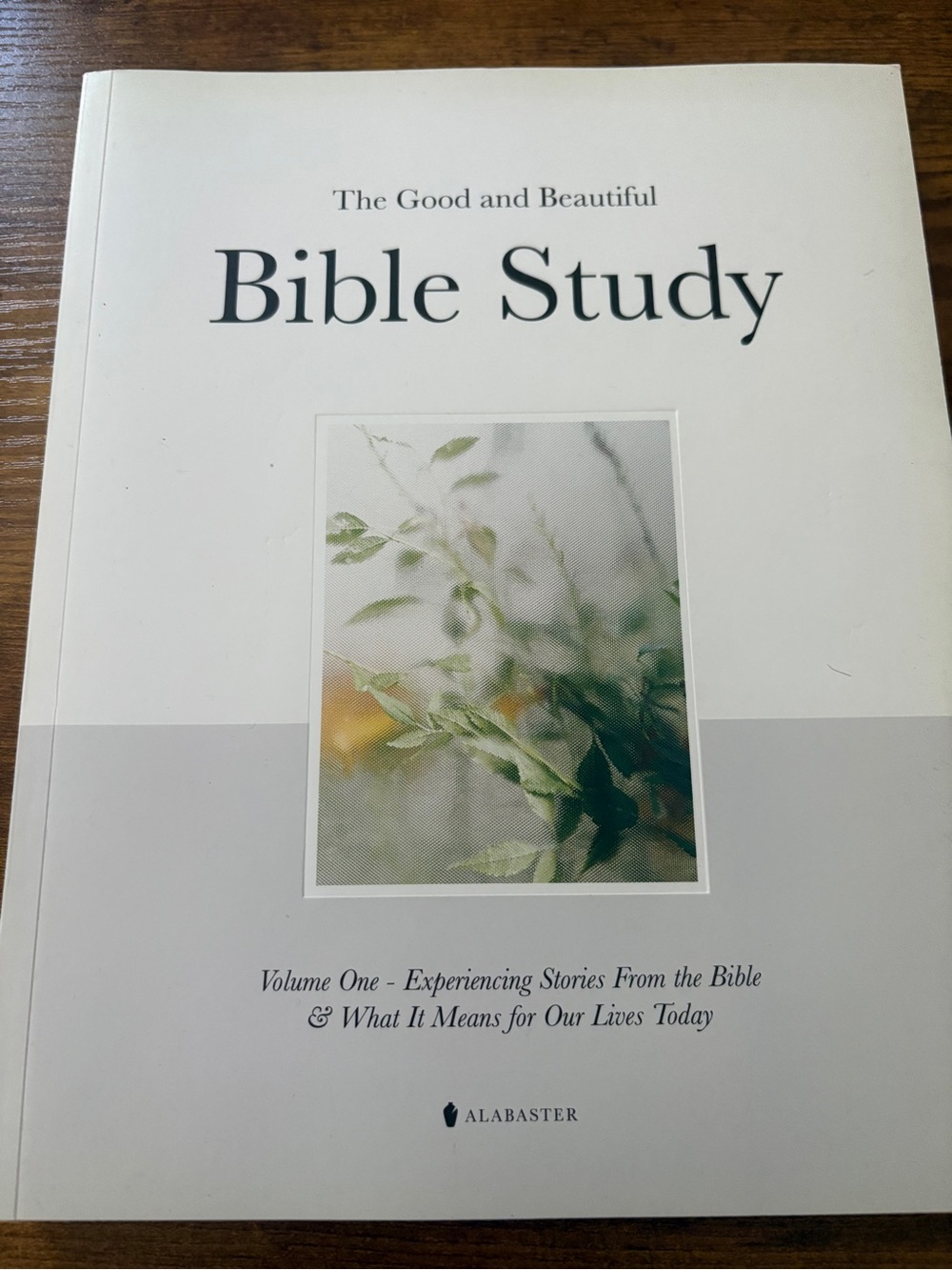 AlbasterThe Good and Beautiful Bible Study Volume One & Two